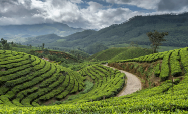 Munnar