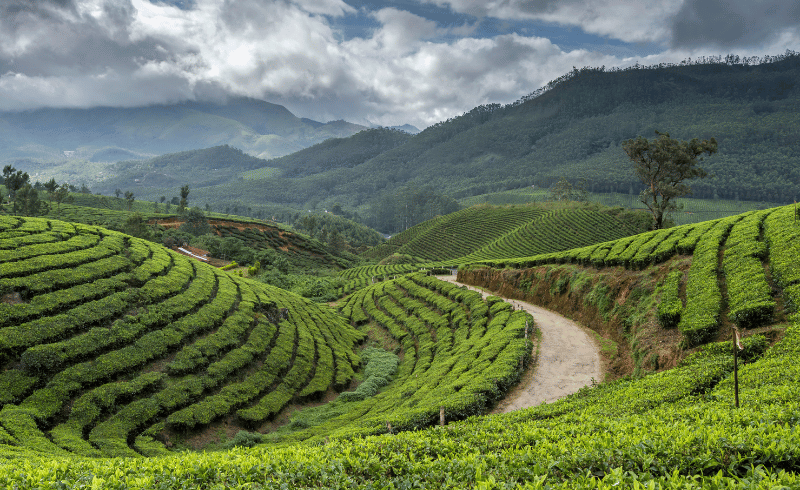 Munnar