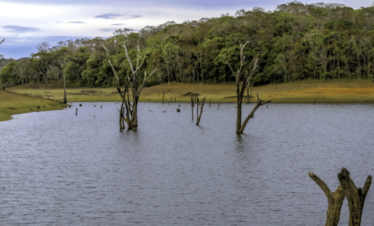 Thekkady