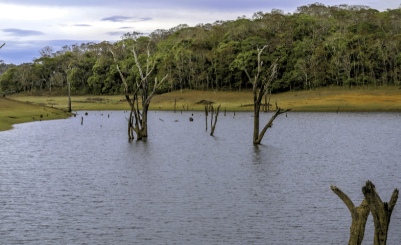 Thekkady