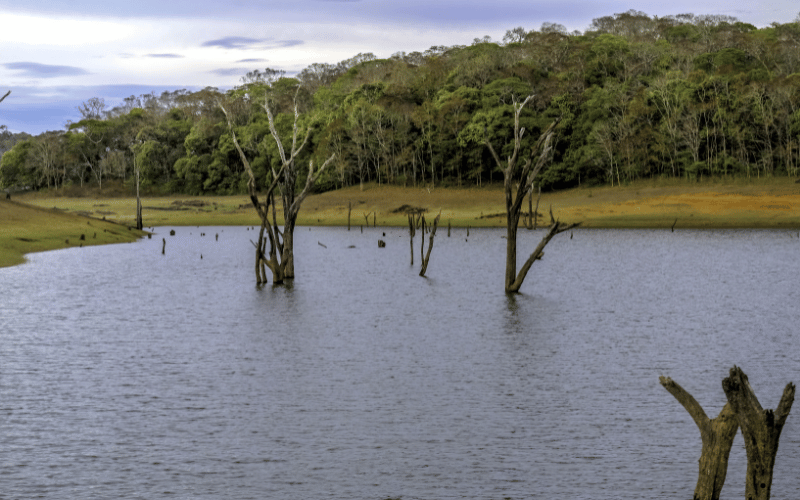 Thekkady